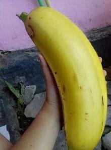 大香蕉国产区,揭秘国产影视产业的魅力与风采 第1张 大香蕉国产区,揭秘国产影视产业的魅力与风采 第1张