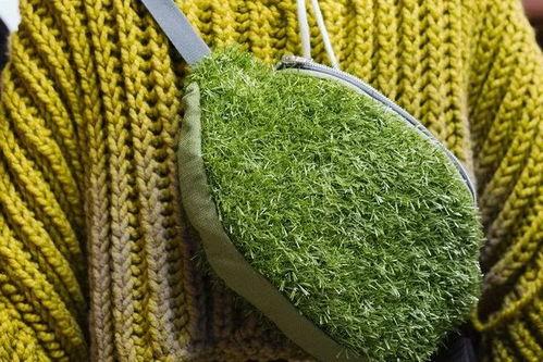 青青青草国产费观看,国产费观看的青春记忆  第3张