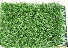 国产人人草,人人草，绿色健康生活新选择  第3张