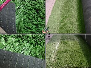 草国产,探寻自然与文化的交融之地  第2张