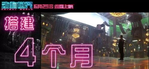 在线国产福利视频,带你领略视觉盛宴与情感共鸣 第3张 在线国产福利视频,带你领略视觉盛宴与情感共鸣 第3张