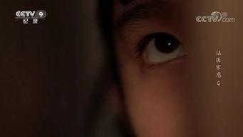 国产重口味视频  第3张