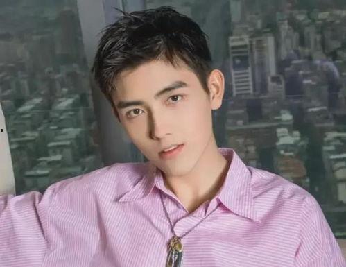 明星娱乐圈吃瓜陈飞宇