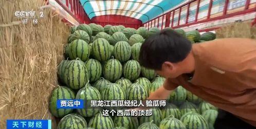 西藏扎西枫丹娱乐吃瓜